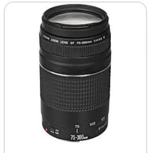 Canon EF 75-300mm f/4-5.6 III Lens